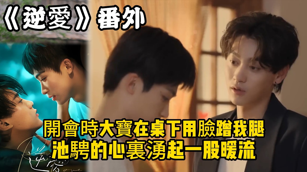 《逆愛》：番外！開會時大寶在桌下用臉蹭我腿，望著吳所畏哼著歌走進浴室的背影，池騁的心裏湧起一股暖流。#田栩宁 #梓渝 #吴所畏 #池骋 #逆爱 #revenged