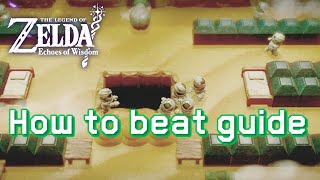 The Legend of Zelda Echoes of Wisdom - Blank Slate Battle: Wind (Sleep Dojo)
