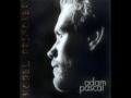 Adam Pascal - Precious Little Meltdown