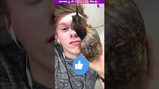 खतरनाक ⚠️Snail Therapy ?⁉️shortsyoutubeshortsviraltrendingfunnyanimalsfishindianewfuntop