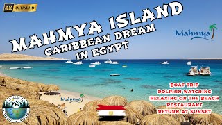 MAHMYA Island - Paradise Beach of Giftun Island | Red Sea | Egypt