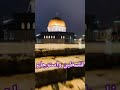 لازم ترجع فلسطين