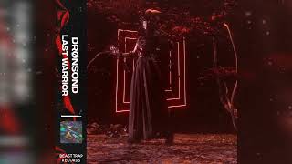 Drønsond - Last Warrior