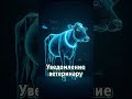 Умные ошейники: персональный фитнес-браслет для коровы #УмнаяФерма #Цифровизация #СельскоеХозяйство