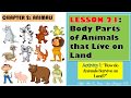Download Animal Body Parts Lesson Images