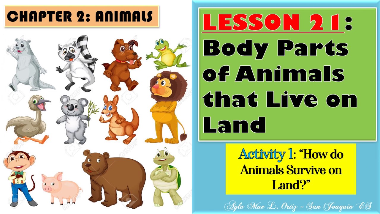 SCIENCE IV I Lesson 21: Body Parts of Animals that Live on Land - YouTube