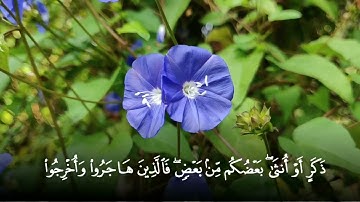 الفتى يحيى بن عوض القويح  يتلو من أواخر سورة آل عمران