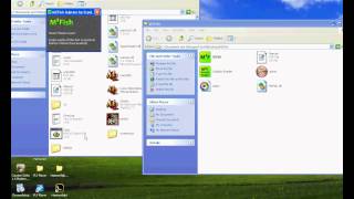 Metin2Ro FishBoT 4.4 By Erpel ( TESTAT )