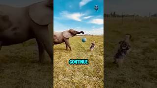 Ranking 5 Funniest Football Moments Ever 😂 | Sports Fails Compilation