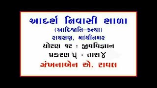 Std 12 | Biology | chapter 5 | lecture 4