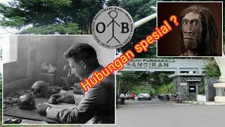 Sejarah dan ciri-ciri Manusia purba di Indonesia | Meganthropus paleojavanicus