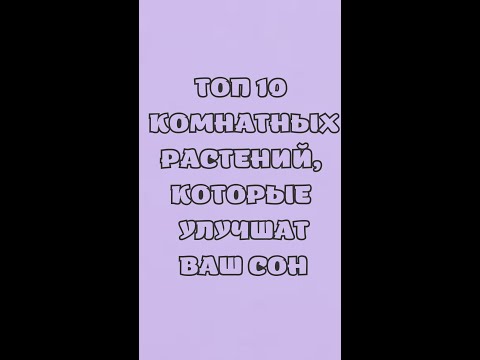 ТОП 10 КОМНАТНЫХ РАСТЕНИЙ, КОТОРЫЕ УЛУЧШАТ ВАШ СОН!