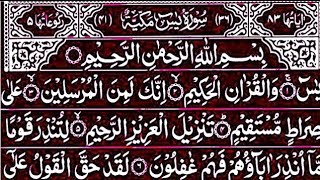 Surah Yaseen Surah Ar Rahman | Best Qur'an Recitation | Surah Yasin full | Surah Mulk Tilawat 