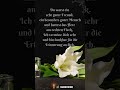 Mein Beileid Abschied: Ein Freund, dankbar für die Erinnerung #trauer #inmemoriam #gedenken  #trost Mp3 Song