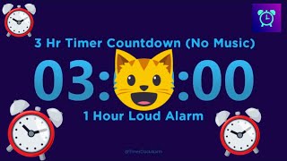 3 Hour Timer Countdown (No Music) + 1 Hour Loud Alarm