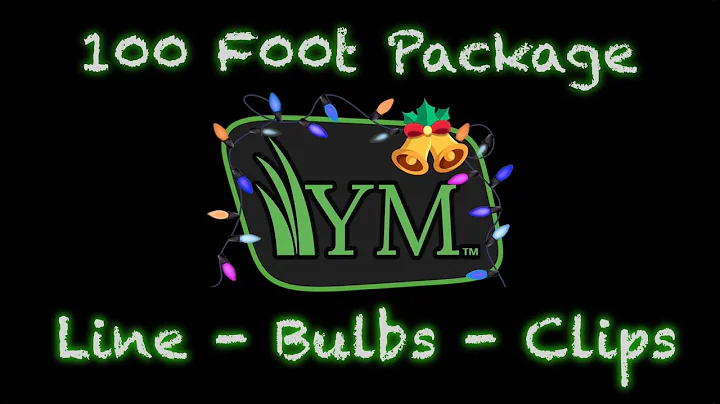 100 ft Package - Perfect For Small Homes and Displays - Commercial LED Christmas Lights C9