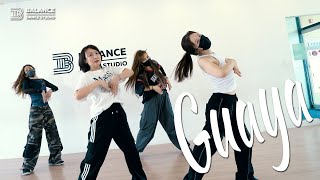대구밸런스댄스학원 | Guaya - Eva Simons | HONEYBEE choreography | BALANCEDANCESTUDIO