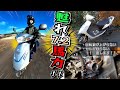 【一気見用まとめ】 エンジン回転数が上がらない！セルが回らない？ 最後にして最強の「２スト原付スクーター」 スズキのＺＺ（ジーツー）復活作戦