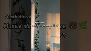 Милые обои на телефон 🐻🌿 1/?  Aesthetic videos