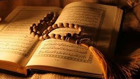 سورة الحج الاية 8 الى الاية 16