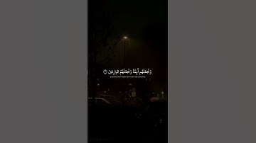 وَنُرِيدُ أَن نَّمُنَّ عَلَى ٱلَّذِينَ ٱستُضعِفُواْ فِي ٱلأَرضِ | سورة القصص | محمد صديق المنشاوي