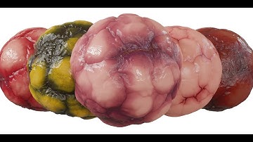 Procedural Flesh Material (Blender) - Demo