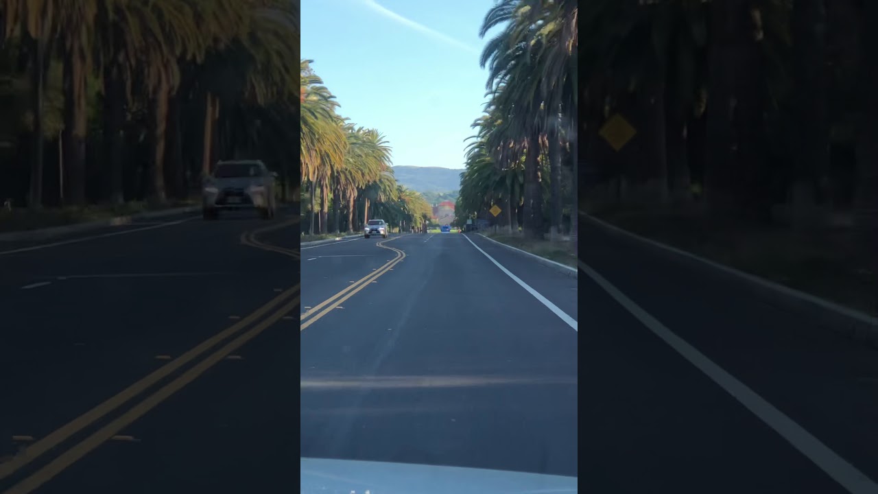 Palm Drive, Stanford University