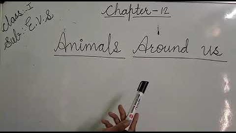 Class-1st, Sub-E. V. S., Ch-12, Animals Around Us, Date-23/11/2021.