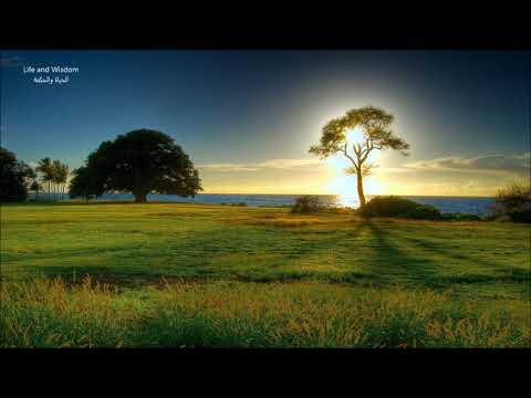 القارئ اسلام صبحي وقل ربي أعوذ بك من همزات الشياطين