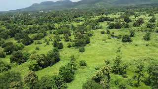 Kashid 2 Borli | InvestNJoy | Agriculture & Farm Land On Sale