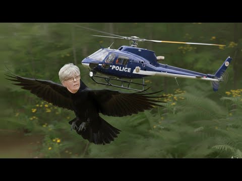 Mini dream jump line