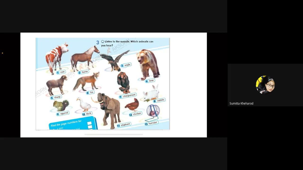 Spark 1   T 2  WEEK 1  Unit 5   Great Animals