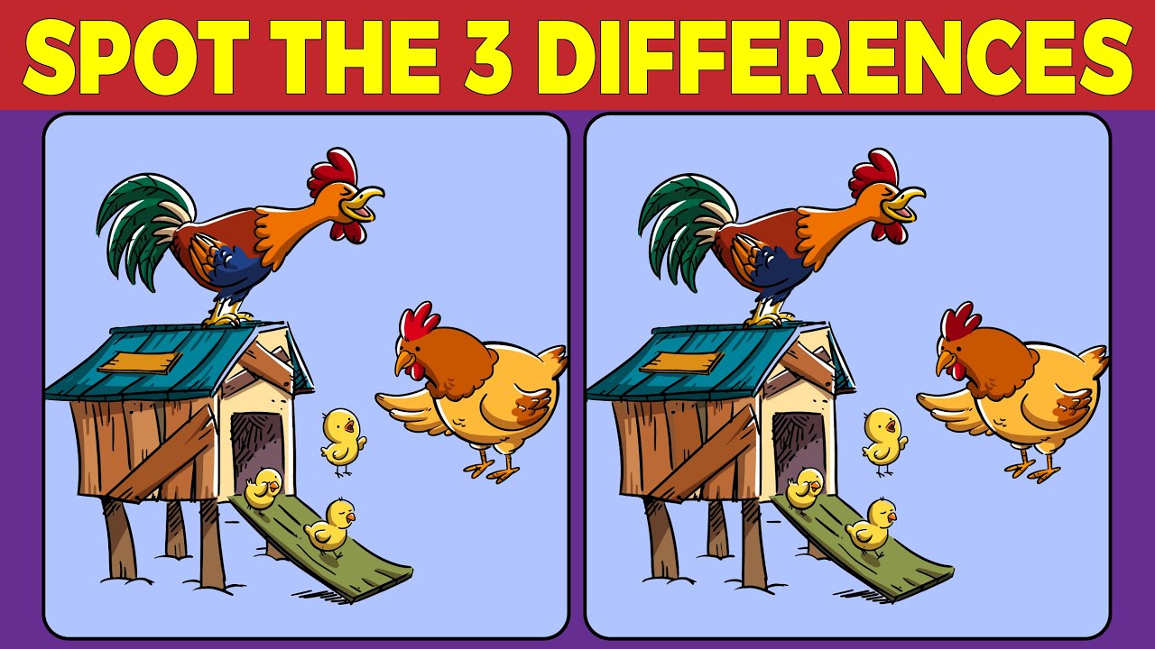 "Spot the Differences: A Visual Puzzle Challenge!" - YouTube