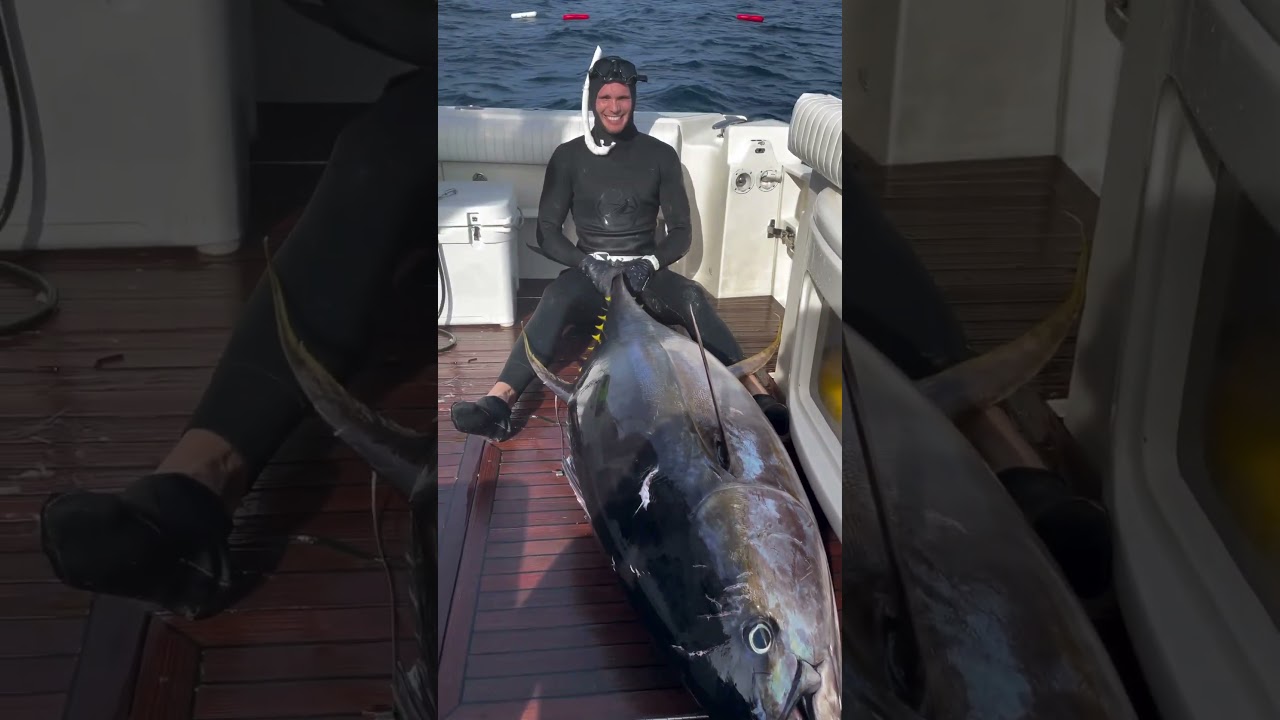 I love targeting big tuna 