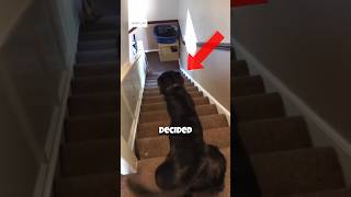 This Slide Didnt Go As Planned