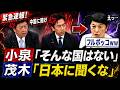 【5/29 大爆笑】小泉大臣「そんな国ない」茂木大臣「日本に聞くな」→福島党首「え、その…」