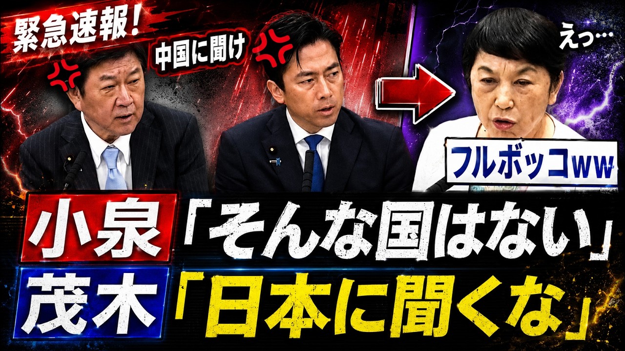 【5/29 大爆笑】小泉大臣「そんな国ない」茂木大臣「日本に聞くな」→福島党首「え、その…」