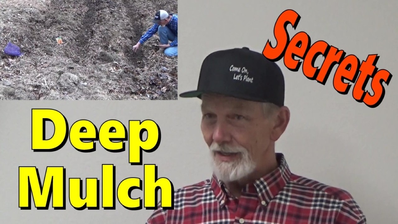 Secret Of Deep Mulch For Beginners 2025