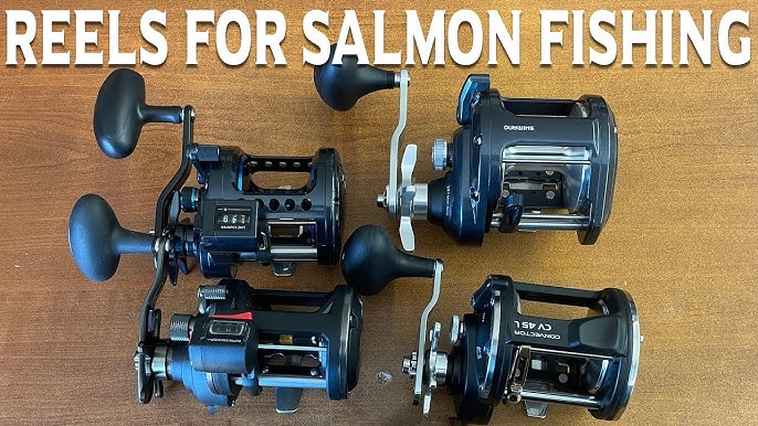 ✓Top 5: Best Salmon Spinning Reels In 2023 🎣 [ Best Salmon