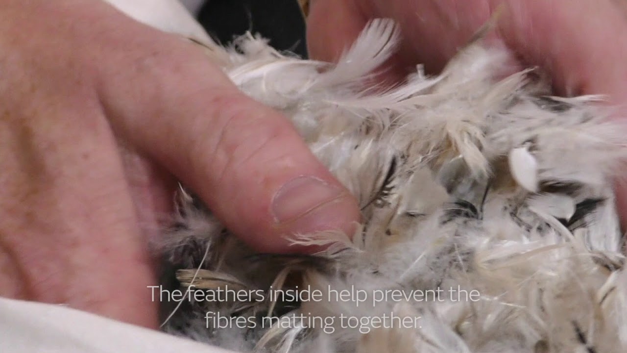 feather fiber blend
