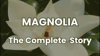 95 Million Years of Secrets: The Complete Story of the Magnolia Flower