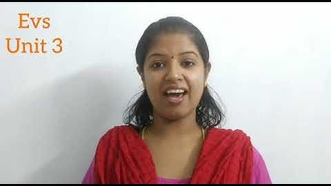 Grade 3/EVS/ Unit 3 / Water - the Elixir of Life/ part 3 / page no. 39- 47