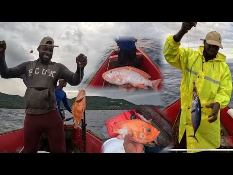 Deep Sea Line Fishing For Silks & We Caught This ….