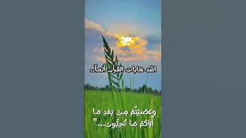 #القرآن_الكريم #تلاوة #راحة_نفسية #اللهم_صل_وسلم_على_نبينا_محمد #ياسر_الدوسري