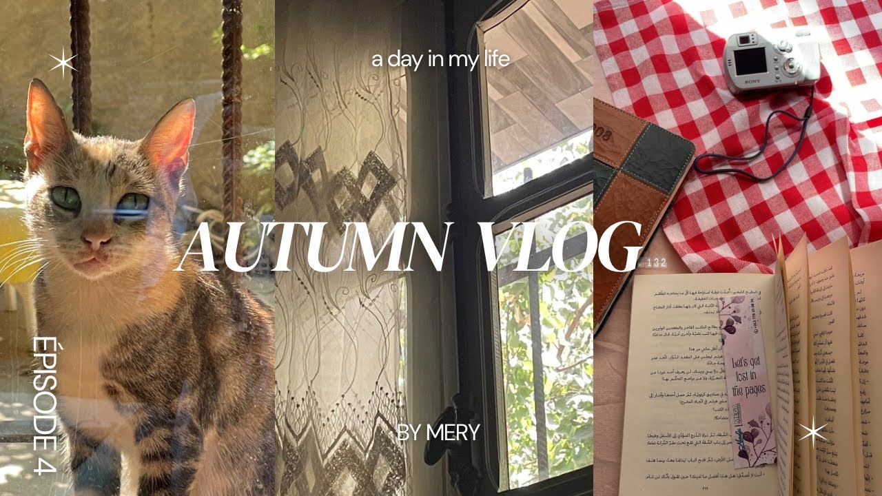 	بين الحديقة والكتب : خريفٌ مضيء وطلبية كتب جديدة 📦