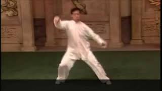 Download Lagu Chen Zheng Lei - Tai Chi style Chen Laojia Erlu Paochui  [陈氏太极拳老架 Taijiquan style Chen] MP3