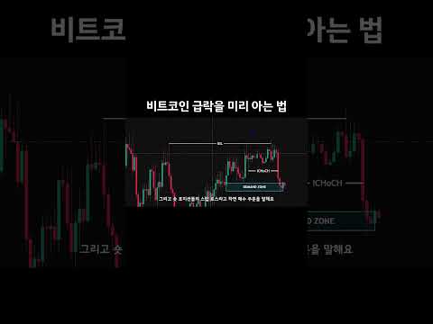 비트코인의 급락을 미리 아는 법