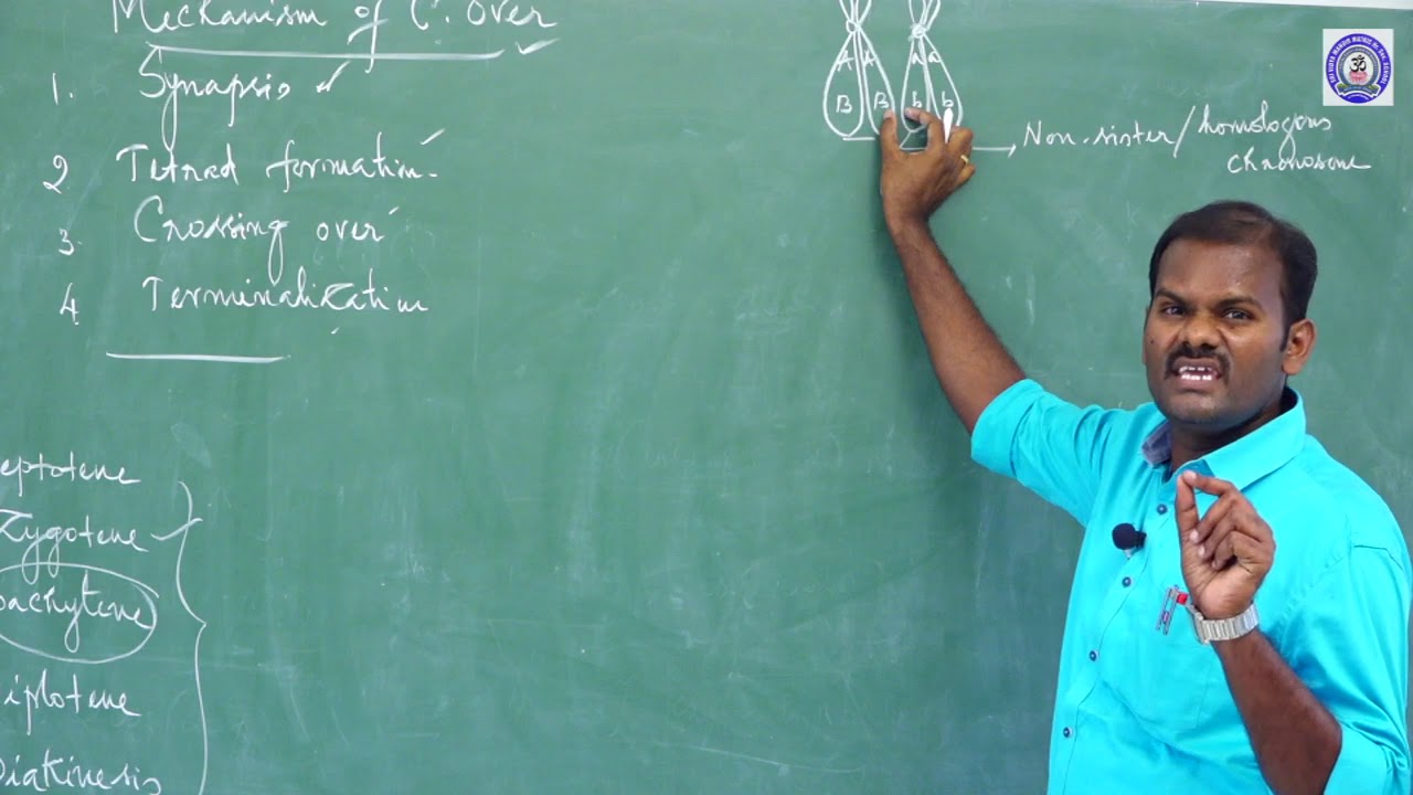 + 2 - BOTANY - GENETICS - CROSSING OVER - PART - 1