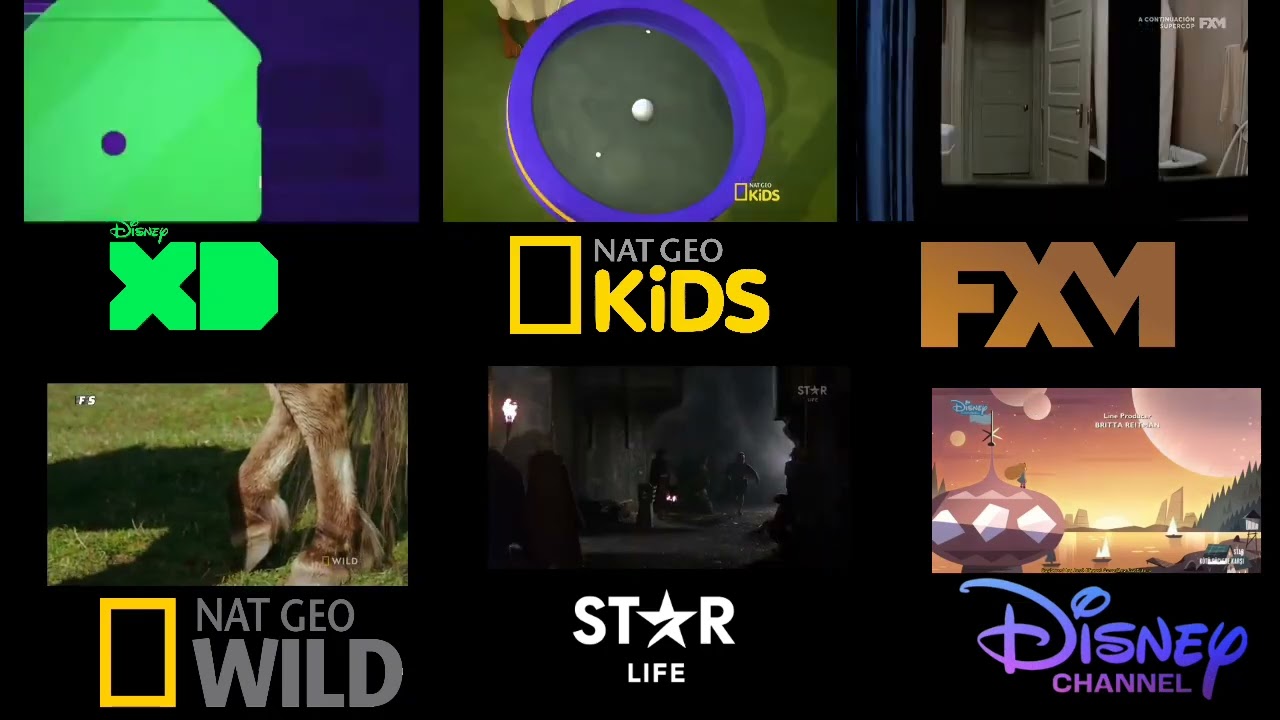 cierre de los canales Disney XD,Nat Geo Kids, FXM, Nat Geo Wild, Star Life y Disney Channel Turquía