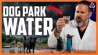 4 Survival Water Filters Tested on Dog Park Pond Water